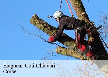 Elagueur  coti-chiavari-20138 Corse