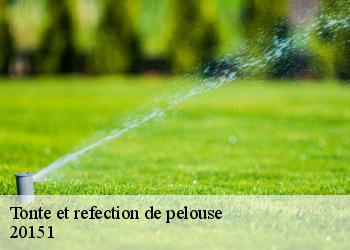 Tonte et refection de pelouse  20151