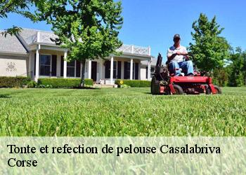 Tonte et refection de pelouse  casalabriva-20140 Corse