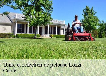 Tonte et refection de pelouse  lozzi-20224 Corse