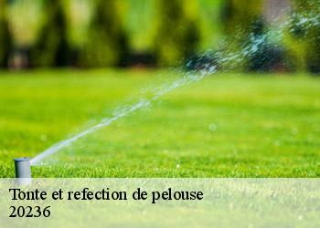 Tonte et refection de pelouse  20236