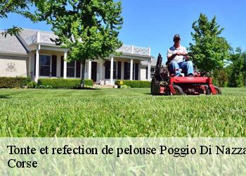 Tonte et refection de pelouse  poggio-di-nazza-20240 Corse