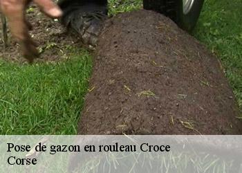 Pose de gazon en rouleau  croce-20237 Corse