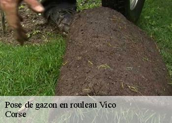 Pose de gazon en rouleau  vico-20160 Corse