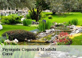 Paysagiste  cognocoli-montichi-20123 Corse