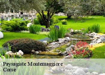 Paysagiste  montemaggiore-20214 Corse