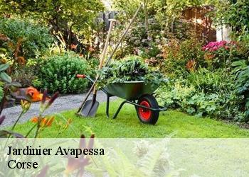 Jardinier  avapessa-20225 Corse