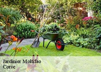 Jardinier  moltifao-20218 Corse