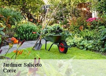 Jardinier  saliceto-20218 Corse