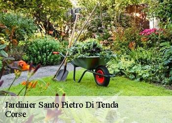 Jardinier  santo-pietro-di-tenda-20246 Corse