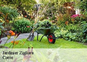 Jardinier  zigliara-20190 Corse