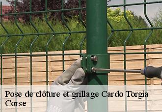 Pose de clôture et grillage  cardo-torgia-20190 Corse