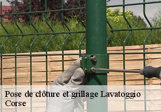 Pose de clôture et grillage  lavatoggio-20225 Corse