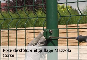 Pose de clôture et grillage  mazzola-20212 Corse