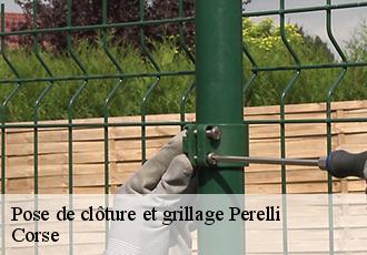 Pose de clôture et grillage  perelli-20234 Corse