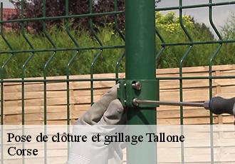 Pose de clôture et grillage  tallone-20270 Corse