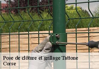 Pose de clôture et grillage  tattone-20219 Corse