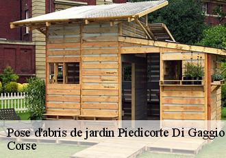 Pose d'abris de jardin  piedicorte-di-gaggio-20251 Corse