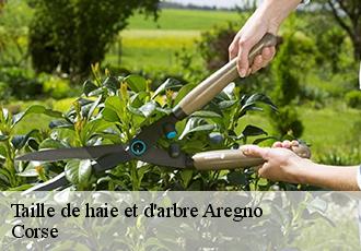 Taille de haie et d'arbre  aregno-20220 Corse