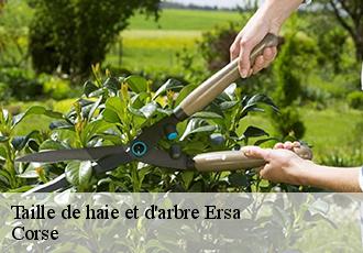 Taille de haie et d'arbre  ersa-20275 Corse