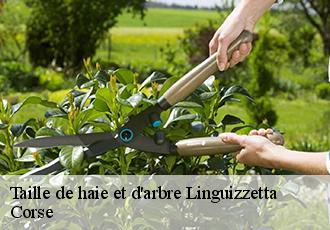 Taille de haie et d'arbre  linguizzetta-20230 Corse