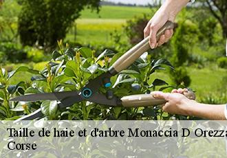 Taille de haie et d'arbre  monaccia-d-orezza-20229 Corse