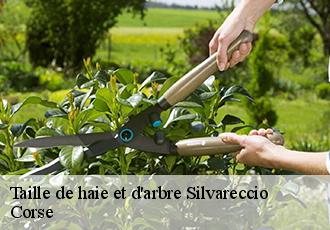 Taille de haie et d'arbre  silvareccio-20215 Corse