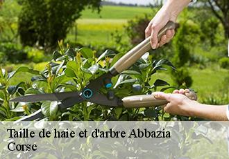 Taille de haie et d'arbre  abbazia-20243 Corse