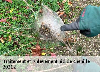 Traitement et Enlevement nid de chenille  20212