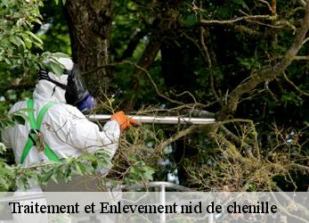 Traitement et Enlevement nid de chenille