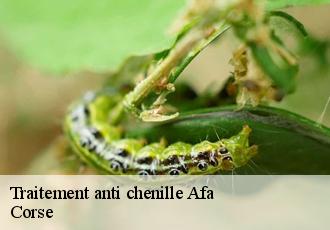 Traitement anti chenille  afa-20167 Corse