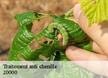 Traitement anti chenille  20000