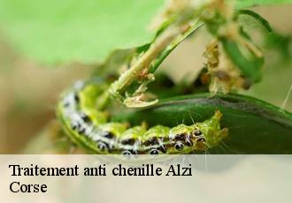 Traitement anti chenille  alzi-20212 Corse