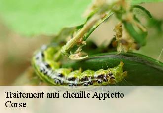 Traitement anti chenille  appietto-20167 Corse