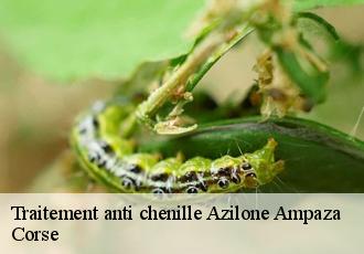 Traitement anti chenille  azilone-ampaza-20190 Corse