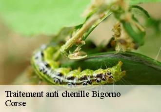 Traitement anti chenille  bigorno-20252 Corse