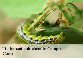 Traitement anti chenille  campo-20142 Corse