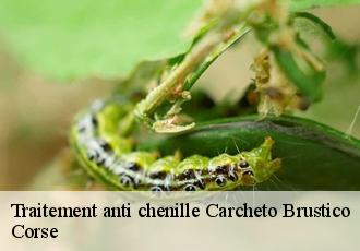 Traitement anti chenille  carcheto-brustico-20229 Corse