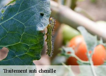 Traitement anti chenille