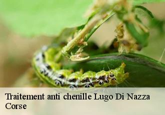 Traitement anti chenille  lugo-di-nazza-20240 Corse