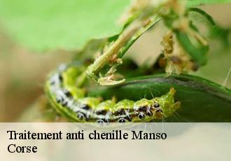 Traitement anti chenille  manso-20245 Corse