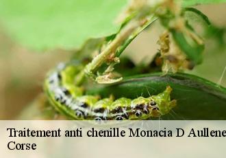 Traitement anti chenille  monacia-d-aullene-20171 Corse