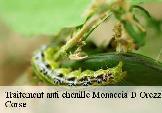 Traitement anti chenille  monaccia-d-orezza-20229 Corse