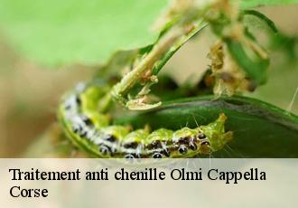 Traitement anti chenille  olmi-cappella-20259 Corse