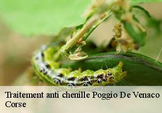 Traitement anti chenille  poggio-de-venaco-20250 Corse