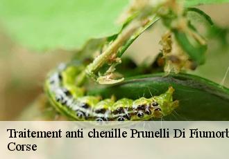 Traitement anti chenille  prunelli-di-fiumorbo-20243 Corse