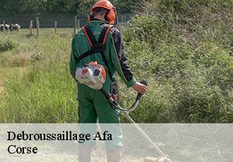 Debroussaillage  afa-20167 Corse