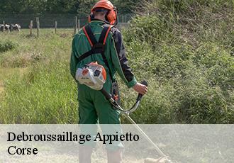 Debroussaillage  appietto-20167 Corse