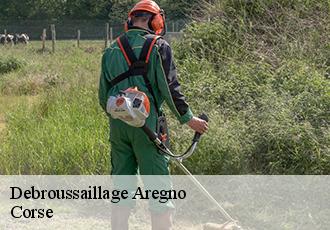 Debroussaillage  aregno-20220 Corse