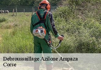 Debroussaillage  azilone-ampaza-20190 Corse